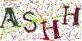 图形验证