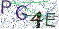 图形验证
