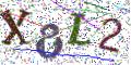 图形验证