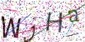 图形验证