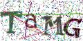图形验证