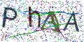 图形验证