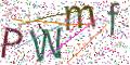 图形验证