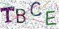 图形验证