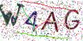图形验证