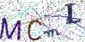 图形验证