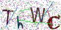 图形验证