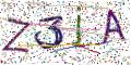 图形验证