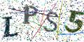 图形验证