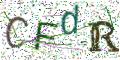 图形验证