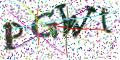 图形验证