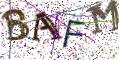 图形验证