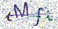 图形验证
