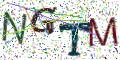 图形验证