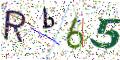 图形验证