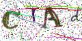 图形验证