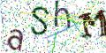 图形验证