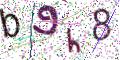 图形验证