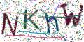 图形验证