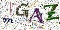 图形验证