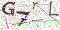 图形验证