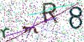 图形验证