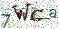 图形验证