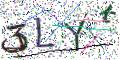图形验证