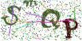 图形验证