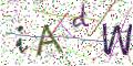 图形验证