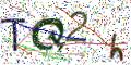 图形验证