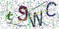 图形验证
