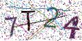 图形验证
