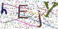 图形验证