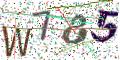 图形验证