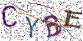 图形验证