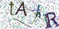 图形验证