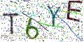 图形验证