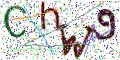 图形验证