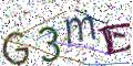 图形验证
