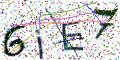 图形验证