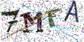 图形验证