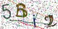 图形验证
