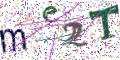 图形验证