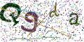 图形验证