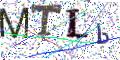 图形验证
