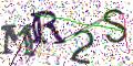 图形验证