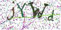 图形验证
