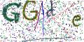 图形验证