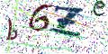 图形验证